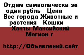 Отдам символически за один рубль › Цена ­ 1 - Все города Животные и растения » Кошки   . Ханты-Мансийский,Мегион г.